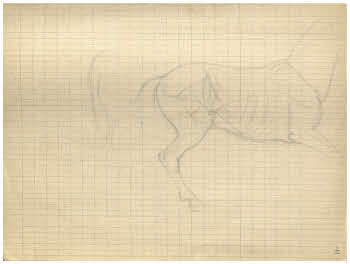 Visualizza l'immagine "FD Album 7, 14"